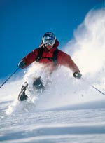 Return skier program
