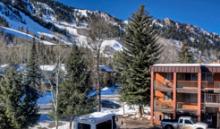 Aspen Silverglo