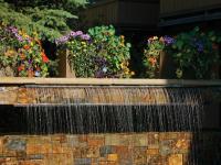 WaterfallVertical.jpg